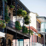 things to do in new orleans solo