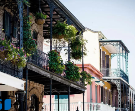 things to do in new orleans solo